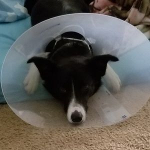 Meet your Posher, Jon